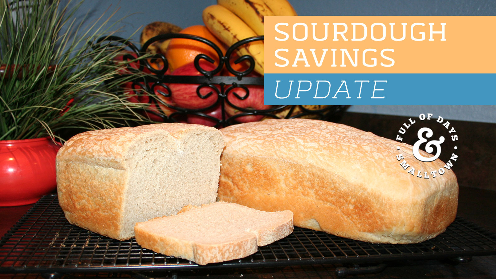 Sourdough Savings Update Full of Days 1600-x-900