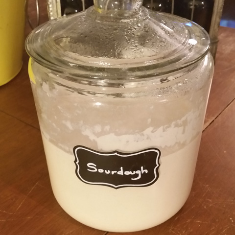 Gallon Storage Jar with Gluten Free Sourdough Starter