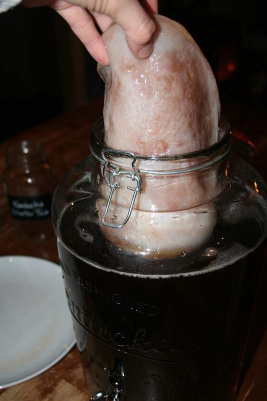 Adding a SCOBY to the homemade kombucha.