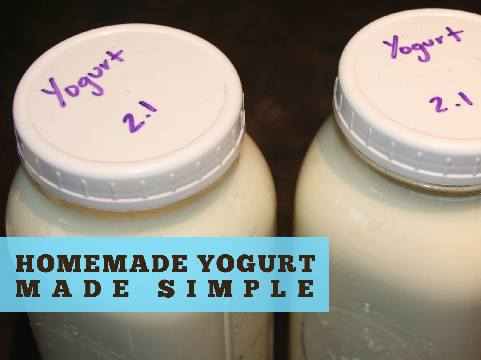 Homemade Yogurt Header