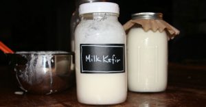 Prepared milk kefir in a mason jar and milk kefir culturing in a mason jar with coffee filter lid.
