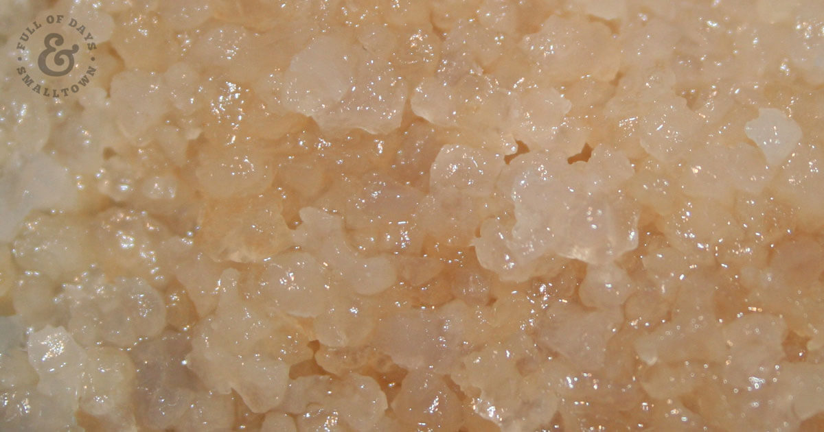 Water Kefir Grains for making homemade water kefir, up close picture.