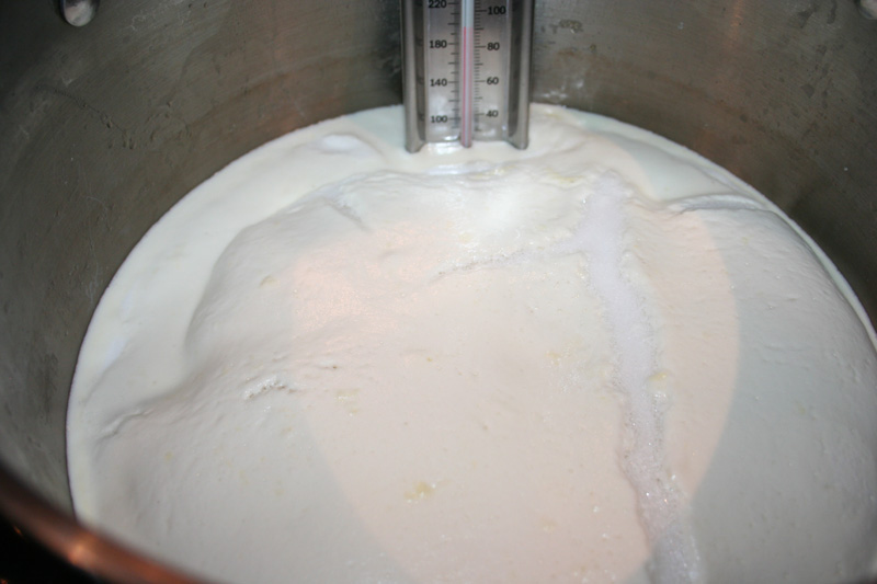 Homemade Ricotta Cheese Whey Temperature