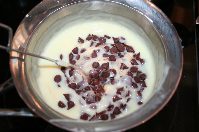 DIY Homemade Pudding Adding in Chocolate Chips