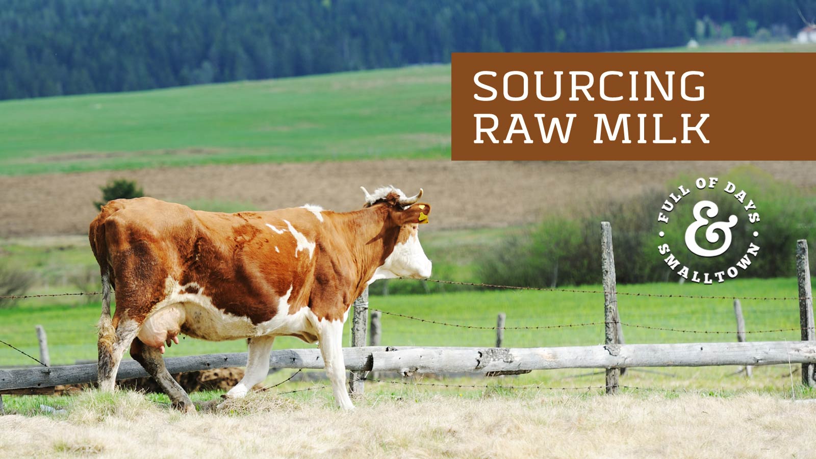 Sourcing-Raw-Milk_Full-of-Days_1600-x-900