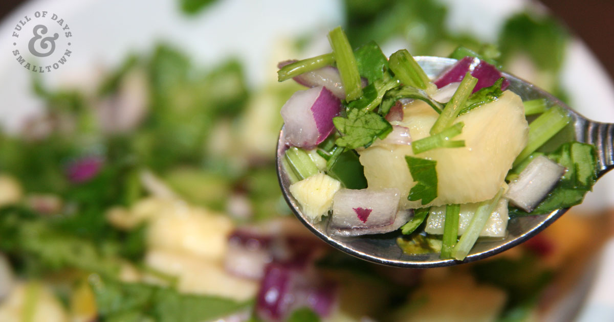 Fermented Pineapple Salsa Recipe on a Spoon