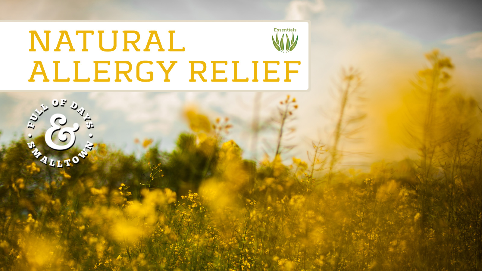 Essential Oils Natural Allergy Relief