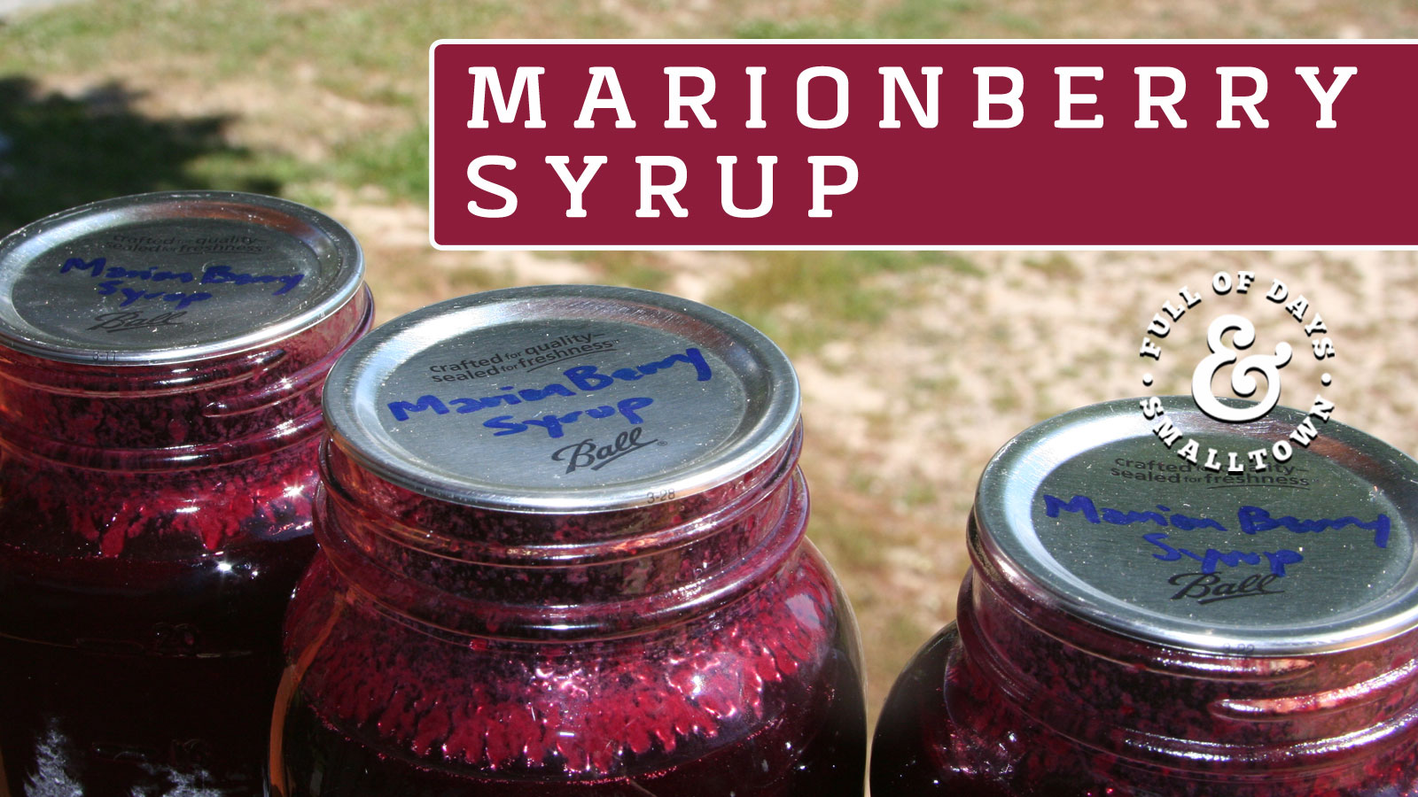 Marionberry-Syrup_Full-of-Days_1600-x-900