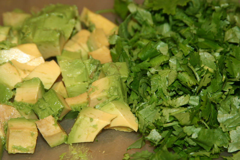 Cilantro and avocado toppings ready for the tacos