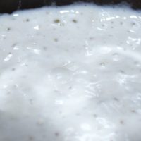 Gluten Free Sourdough Starter with lots of bubbles