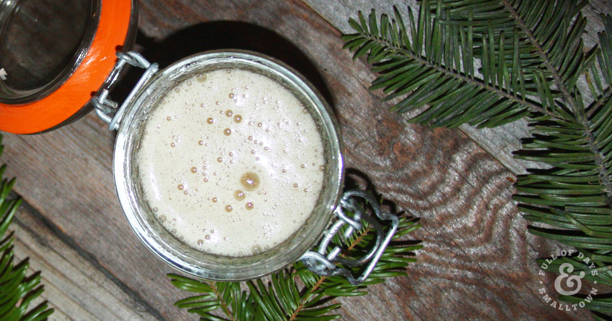 Gardener's Homemade Sugar Scrub in a jar on a wooden table with evergreen clippings