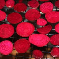 Sliced beets on a dehydrator tray ready to be made into homemade beet chips