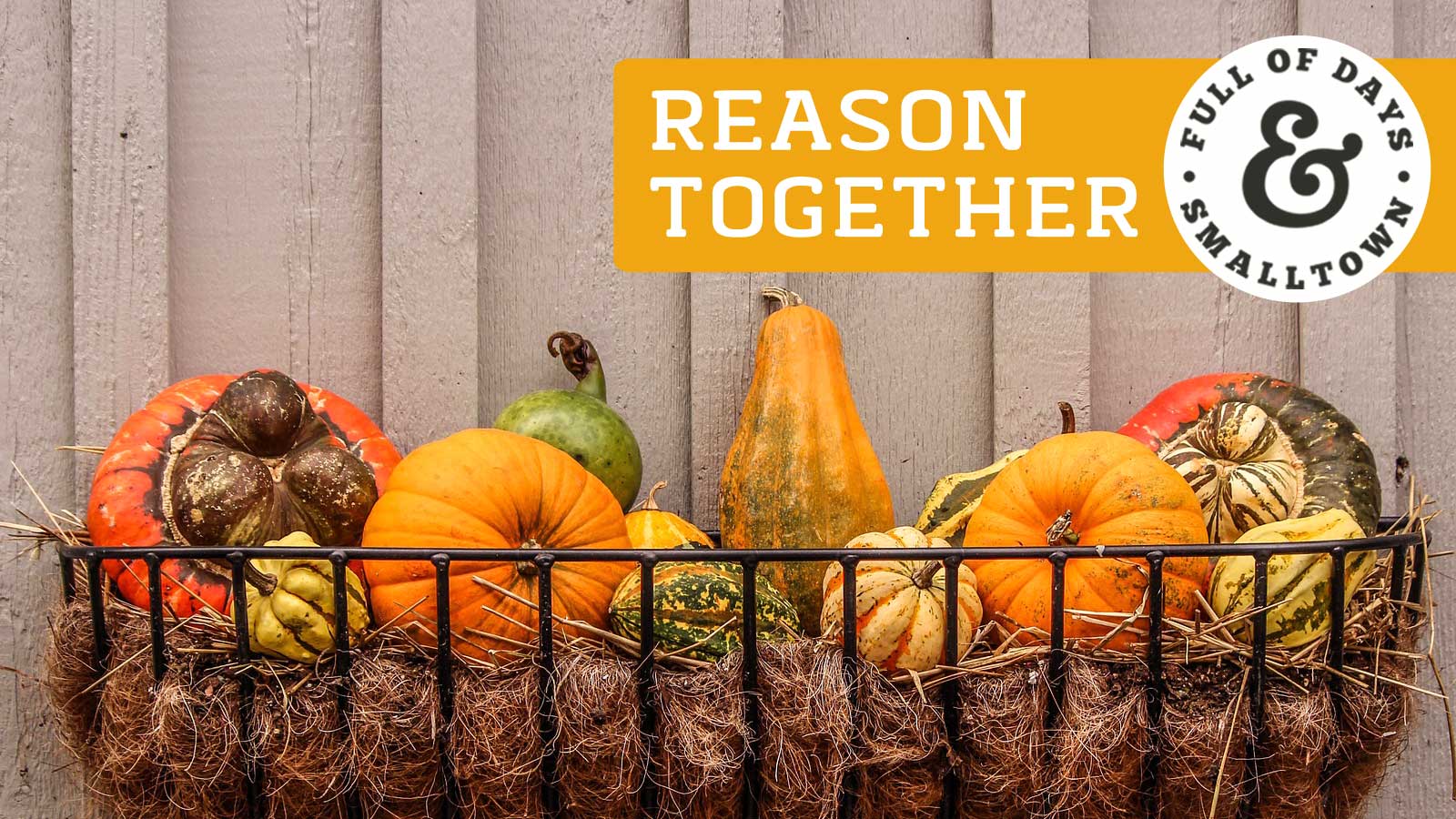 reason-together_full-of-days_1600-x-900