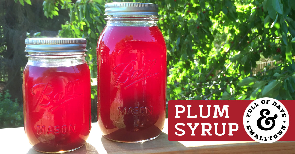 Homemade Plum Syrup Recipe