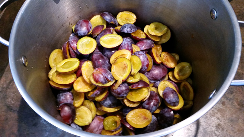 plum-syrup_step-1