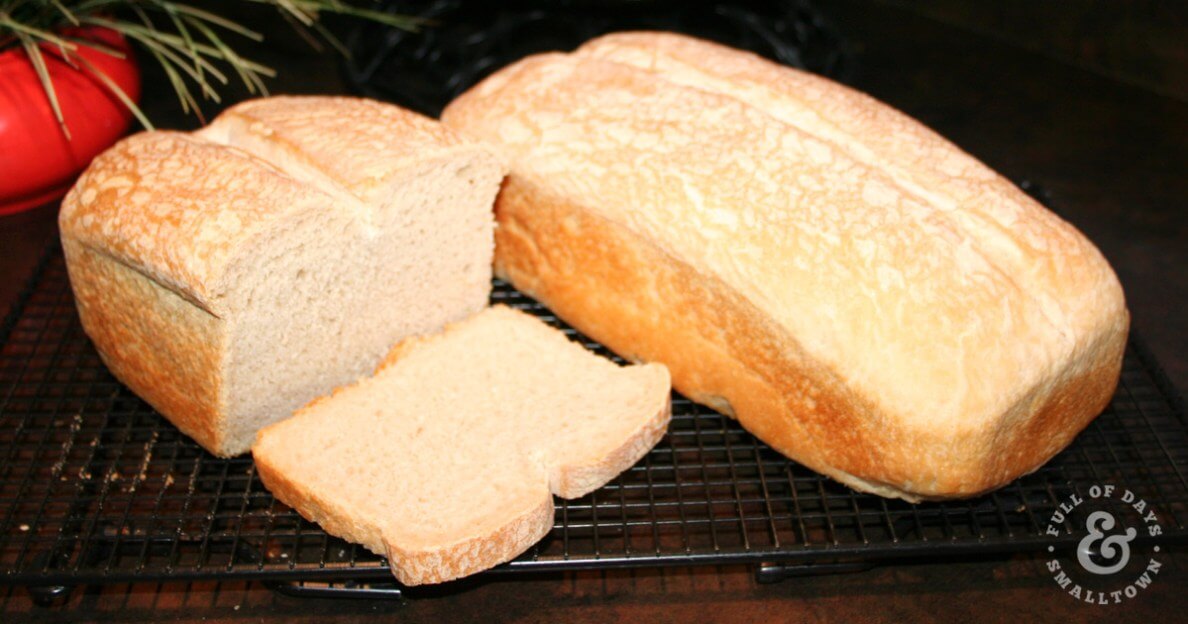 Two loaves of homemade sourdough bread cooling on a bread rack.