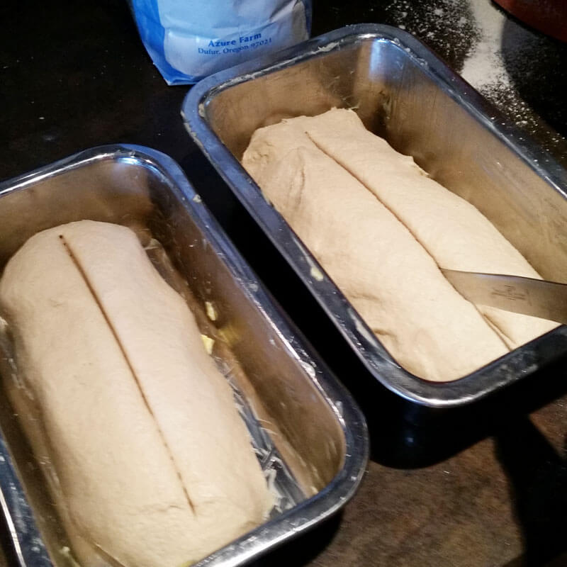 Scoring homemade sourdough bread for best rise.