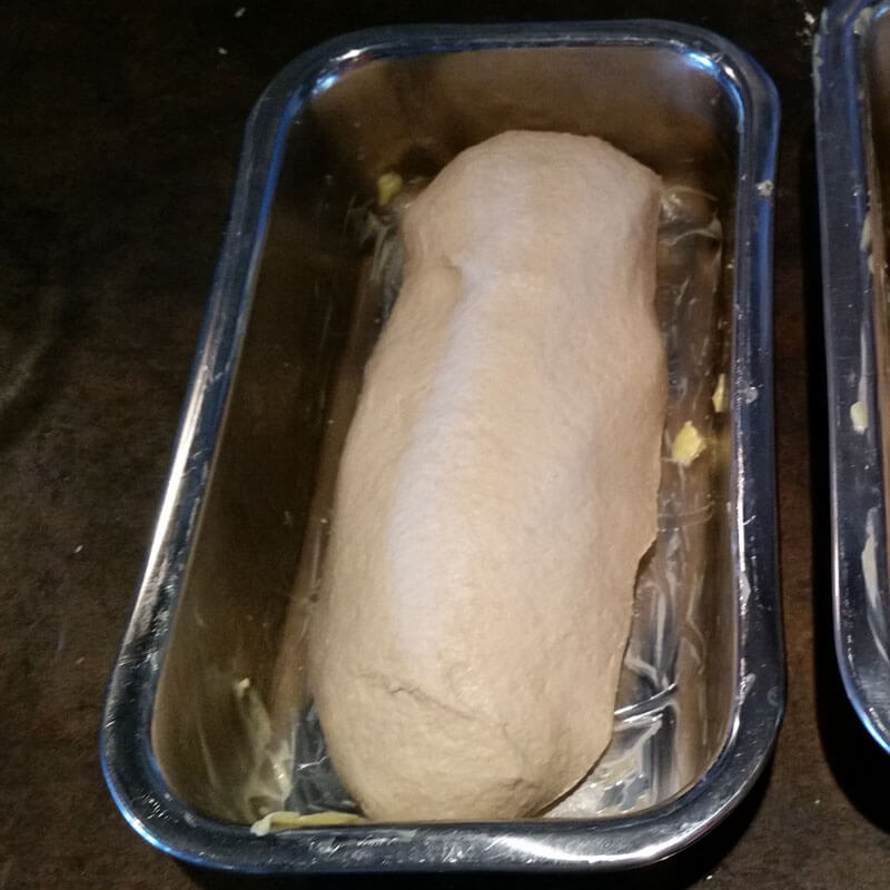 Homemade sourdough bread dough in a buttered loaf pan.