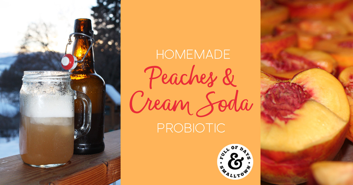 Homemade Peaches and Cream Soda