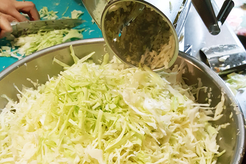 Cabbage for Sauerkraut