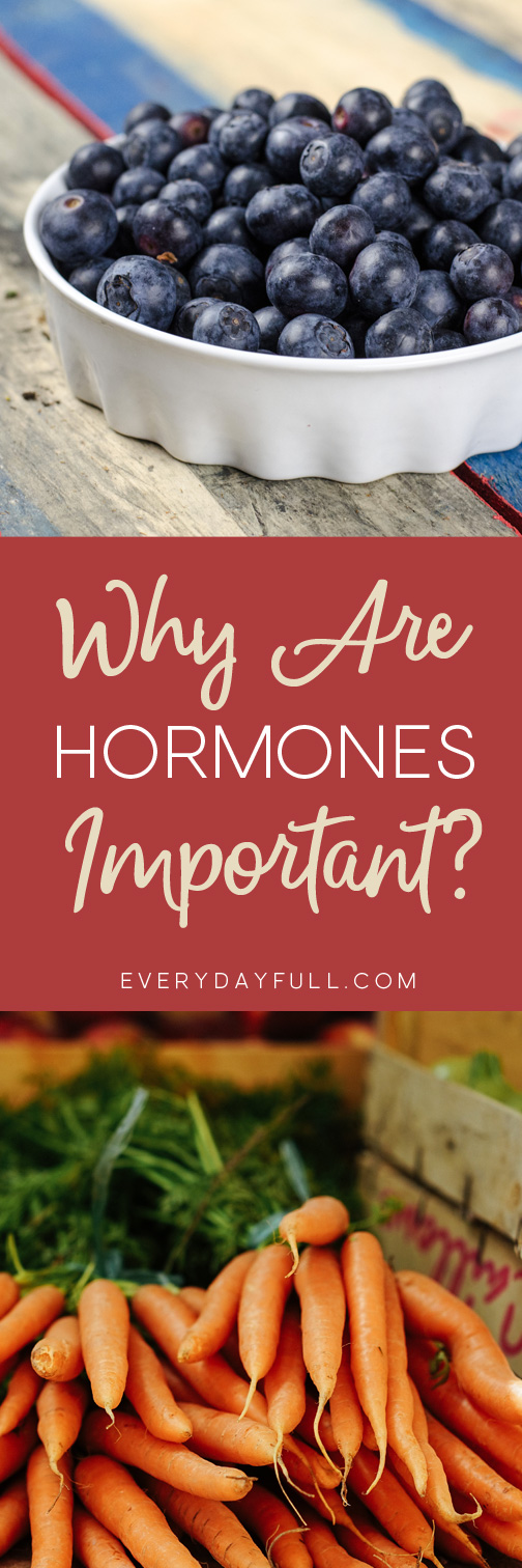 Why Are Hormones Important Pinterest Pin