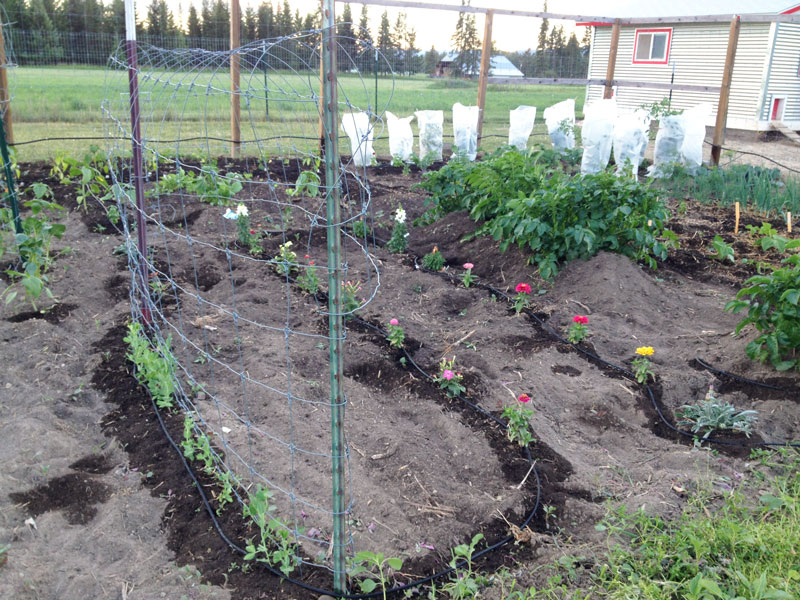 Garden Rows and Beds