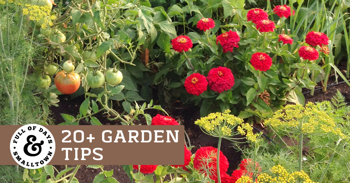 20 Garden Tips for a Bountiful Harvest