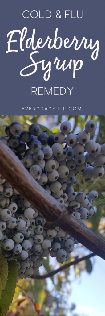 Elderberry Syrup Pinterest Pin