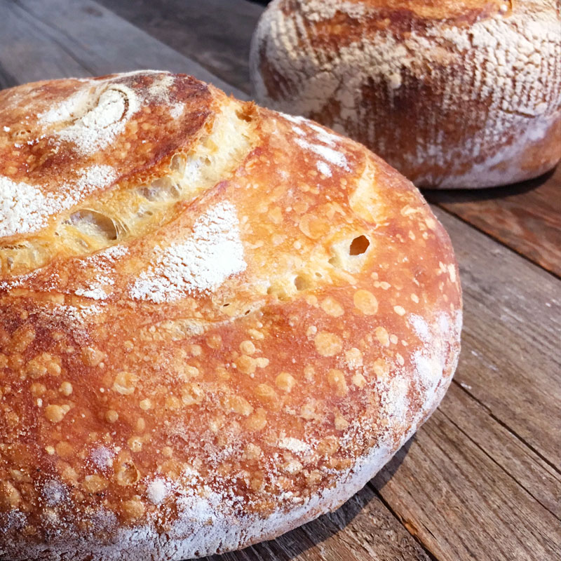 A sweet spring bread boule, courtesy of @cottageloaves. Tips + free br