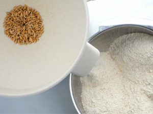 Whole grain spelt going through the Mockmill grain mill, spouting fresh flour into a bowl for healthy homemade cookies.