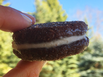 Healthy homemade oreo cookie, ready to dunk into milk and eat.