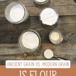 Jars of different kinds of flour sitting on a wooden counter. Text overlay says, "Is Flour Healthy, Ancient Grain vs. Modern Grain".
