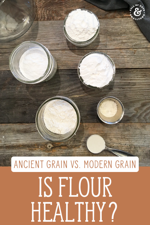 Is Flour Bad for You? Modern Grain vs. Ancient Grain Full of Days