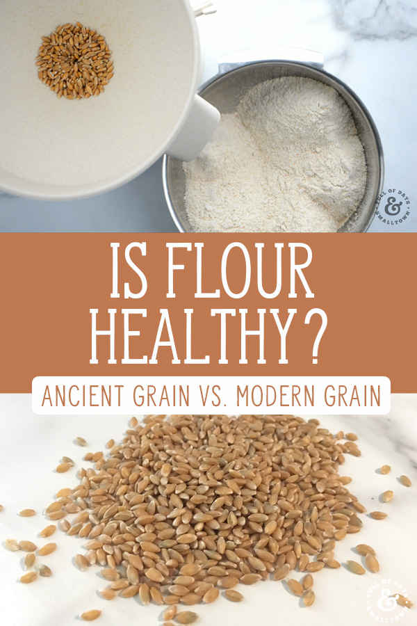 Is Bleached Wheat Flour Bad For You